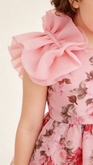 HEX01260401010024-5Y/7Y (Spring-Summer Collection)