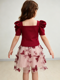 HEX01260401020056-4Y/5Y/6Y/7Y (Spring-Summer Collection)