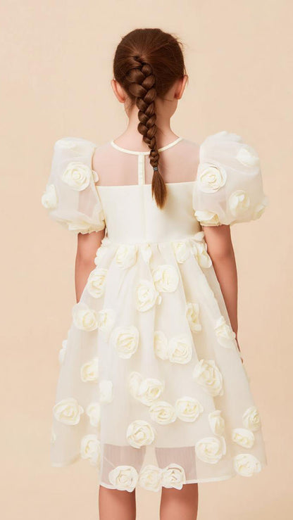 HEX01260401010185-9Y/10Y/11Y/12Y（Coleccion Primavera-Verano）